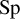 upper S p