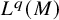 upper L Superscript q Baseline left parenthesis upper M right parenthesis