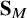 bold upper S Subscript upper M
