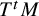 upper T Superscript t Baseline upper M
