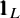 1 1 Subscript upper L