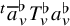 Superscript t Baseline a overbar Subscript v Superscript normal flat Baseline upper T Subscript v Superscript normal flat Baseline a Subscript v Superscript normal flat