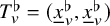 upper T Subscript v Superscript normal flat Baseline equals left parenthesis x underbar Subscript v Superscript normal flat Baseline comma x underbar Subscript v Superscript normal flat Baseline right parenthesis