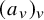 left parenthesis a Subscript v Baseline right parenthesis Subscript v