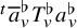 Superscript t Baseline a overbar Subscript v Superscript normal flat Baseline upper T Subscript v Superscript normal flat Baseline a Subscript v Superscript normal flat