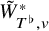 upper W overtilde Subscript upper T Sub Superscript normal flat Subscript comma v Superscript asterisk
