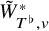upper W overtilde Subscript upper T Sub Superscript normal flat Subscript comma v Superscript asterisk