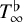 upper T Subscript infinity Superscript normal flat
