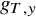 g Subscript upper T comma y