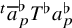 Superscript t Baseline a overbar Subscript p Superscript normal flat Baseline upper T Superscript normal flat Baseline a Subscript p Superscript normal flat