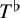upper T Superscript normal flat