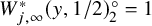 upper W Subscript j comma infinity Superscript asterisk Baseline left parenthesis y comma 1 divided by 2 right parenthesis Subscript 2 Superscript ring Baseline equals 1