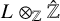 upper L circled times Subscript double struck upper Z Baseline ModifyingAbove double struck upper Z With caret