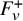 upper F Subscript v Superscript plus