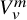 upper V Subscript v Superscript m