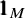 1 1 Subscript upper M