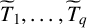 upper T overtilde Subscript 1 Baseline comma ellipsis comma upper T overtilde Subscript q Baseline