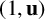 left parenthesis 1 comma bold u right parenthesis