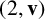 left parenthesis 2 comma bold v right parenthesis