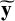 bold y overtilde