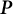 bold italic upper P