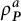 rho Subscript bold italic upper P Superscript a