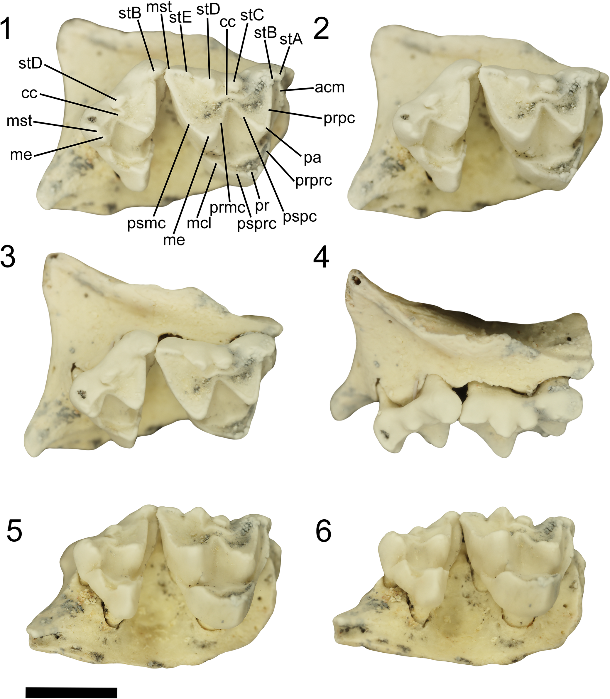 Figure 0