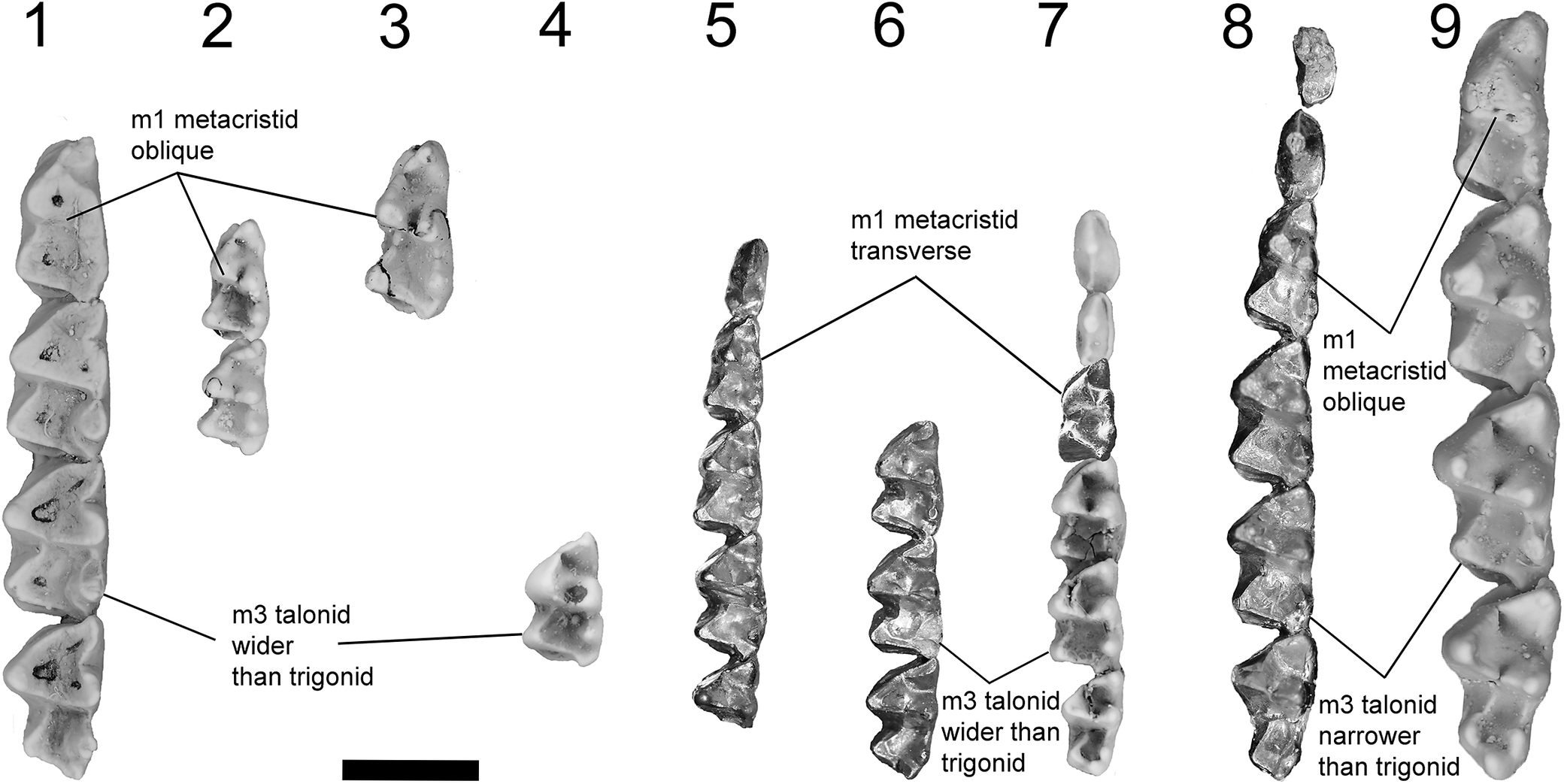 Figure 9