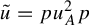 u overtilde equals p u Subscript upper A Superscript 2 Baseline p