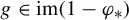 g element of im left parenthesis 1 minus phi Subscript asterisk Baseline right parenthesis