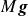 upper M bold italic g