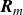 bold italic upper R Subscript m