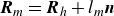 bold italic upper R Subscript m Baseline equals bold italic upper R Subscript h Baseline plus l Subscript m Baseline bold italic n