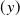 left parenthesis y right parenthesis