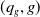 left parenthesis q Subscript g Baseline comma g right parenthesis