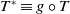 upper T Superscript asterisk Baseline identical to g ring upper T
