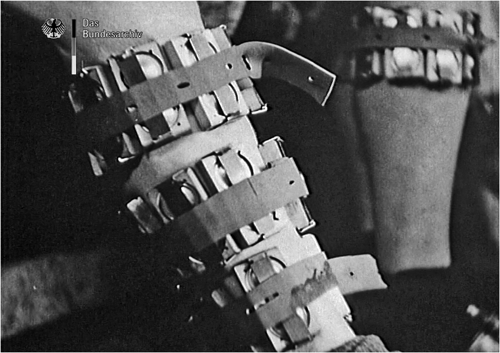 Black and white photo of two human legs with multiple small metal louse cages strapped to the calves using leather belts. The foreground leg shows three rows of cages while the background leg shows one row.
