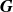 bold italic upper G