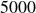 5000