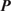 upper P