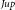 Subscript normal upper J normal u normal p