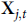 bold upper X Subscript j comma t