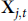 bold upper X Subscript j comma t