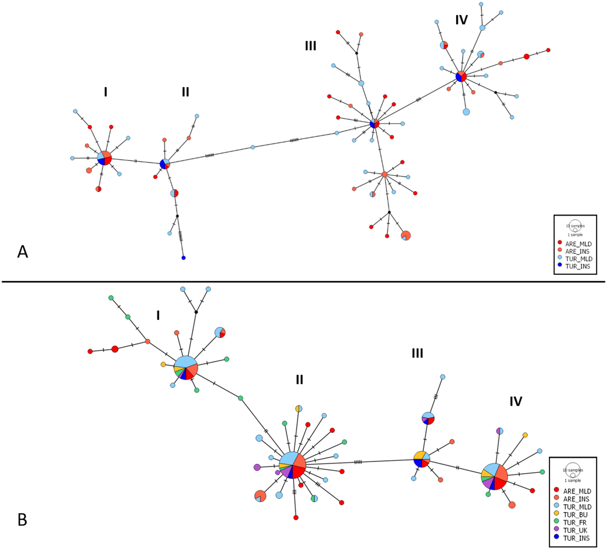 Two-panel haplotype network diagram comparing genetic structure across populations using concatenated genes and C Y T B, with clusters I to IV and color-coded populations. See long description.