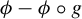 phi minus phi ring g