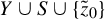 upper Y union upper S union StartSet z overtilde Subscript 0 Baseline EndSet