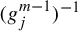 left parenthesis g Subscript j Superscript m minus 1 Baseline right parenthesis Superscript negative 1