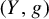 left parenthesis upper Y comma g right parenthesis