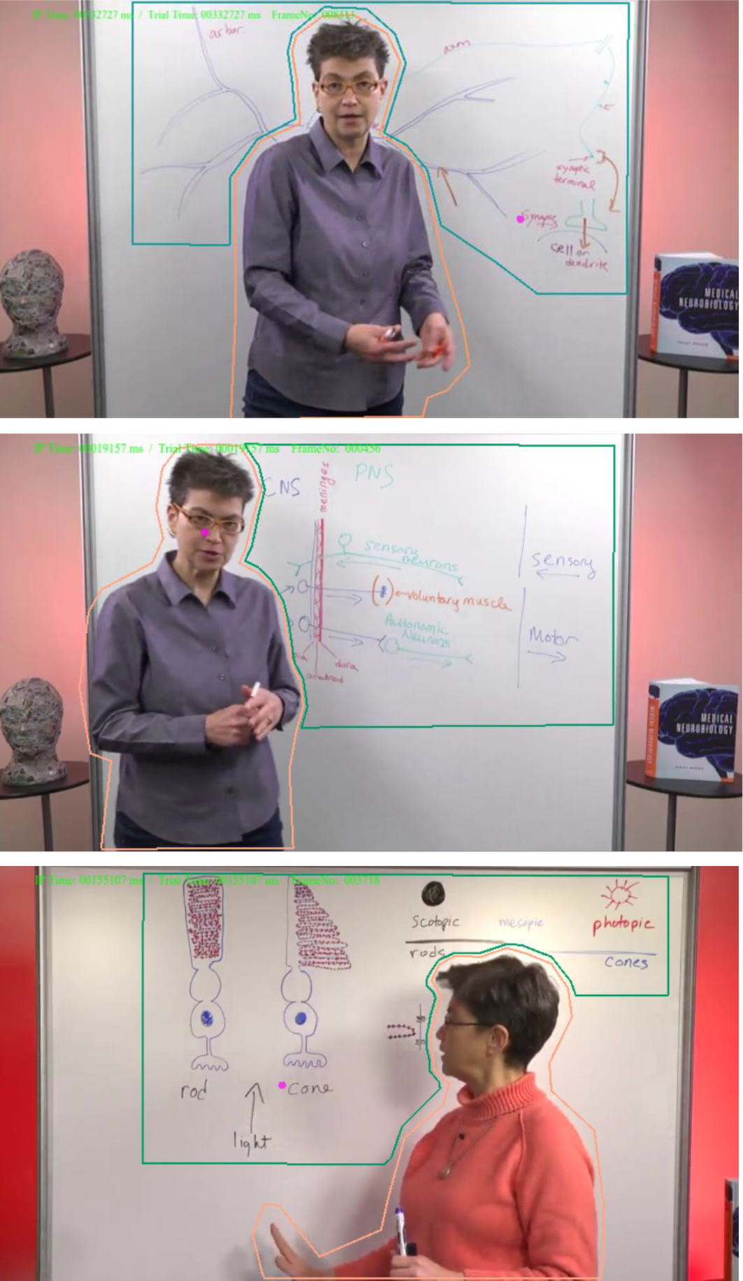 Three-panel vertical layout showing a lecturer in front of a whiteboard with A O I regions outlined in green and orange. See long description.
