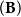 left parenthesis bold upper B right parenthesis
